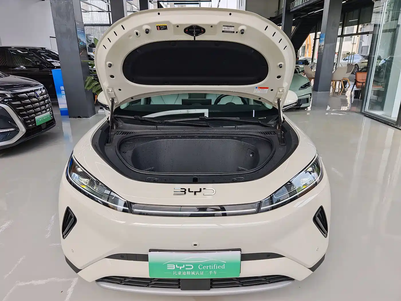 BYD Hai Shi 05 EV 2025 520KM Flagship Smart Navigation Edition фото 18