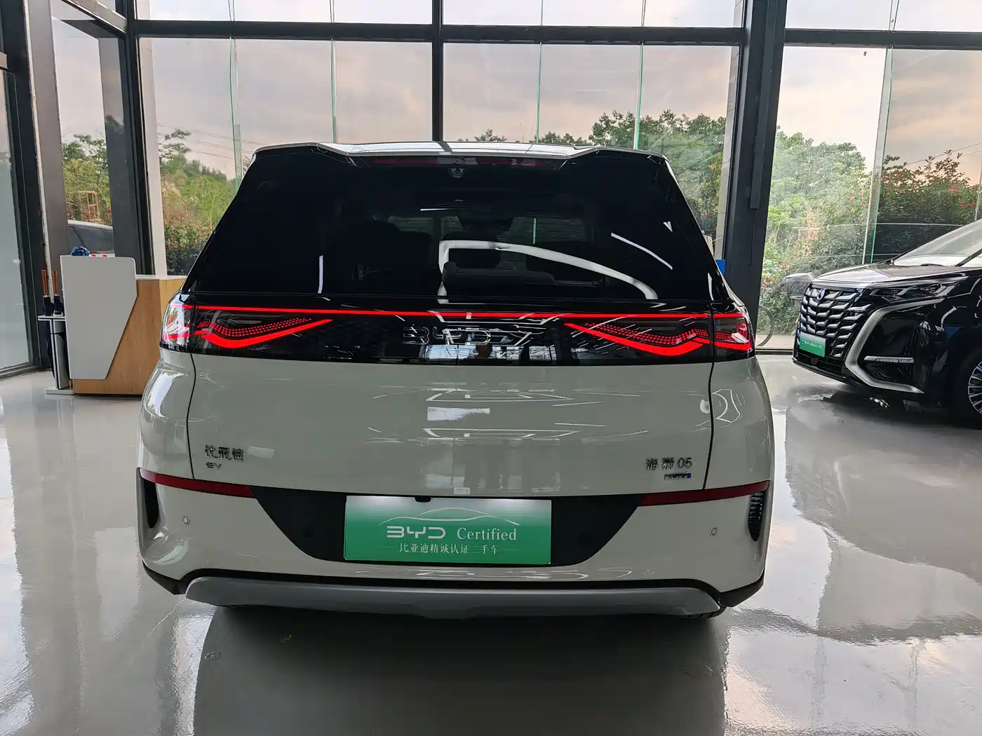BYD Hai Shi 05 EV 2025 520KM Flagship Smart Navigation Edition фото 9