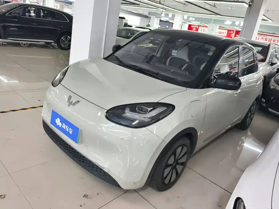 Wuling Motors Wuling Bingo 2023 2023 333km Joyful Version