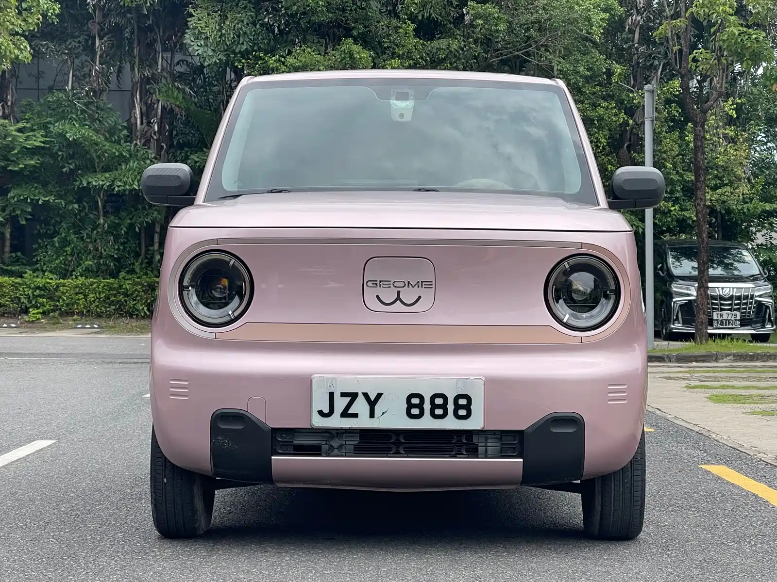 Фото 2 - Geely Galaxy Panda