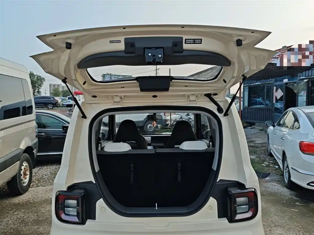 Geely Galaxy Panda 2025 Panda mini 210km Vitality Bear фото 19