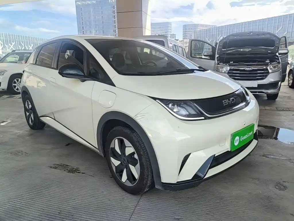 BYD Dolphin 2026 2025 420km Freedom Edition