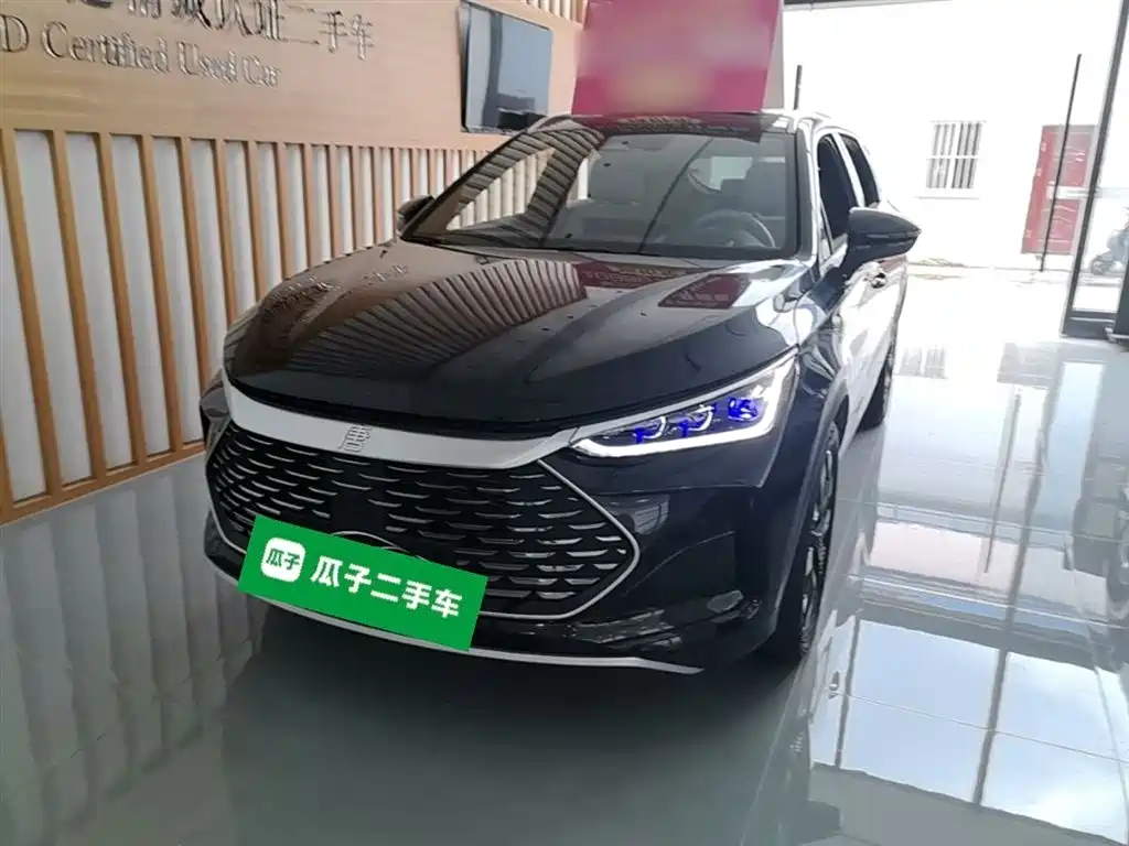 BYD Tang New Energy 2024 Model DM-i Glory Edition 112KM Flagship Type фото 2