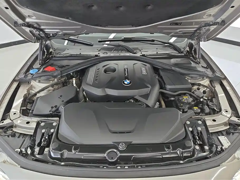 BMW 3 Series 2019 320Li Fashion Type фото 10