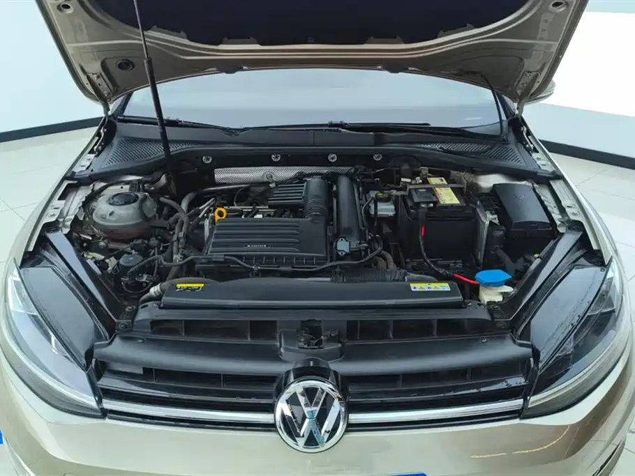Volkswagen Golf 2020 Beloved Edition 280TSI DSG Comfort фото 10