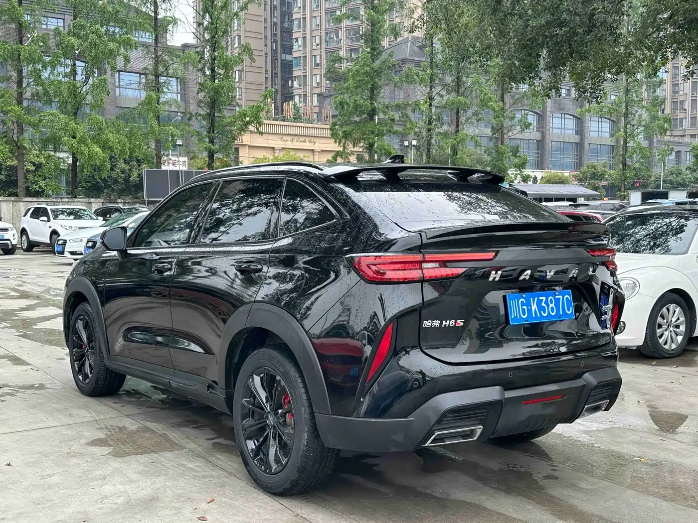 Haval H6S 2022 Model 2.0T 2WD Smart Run Edition фото 9