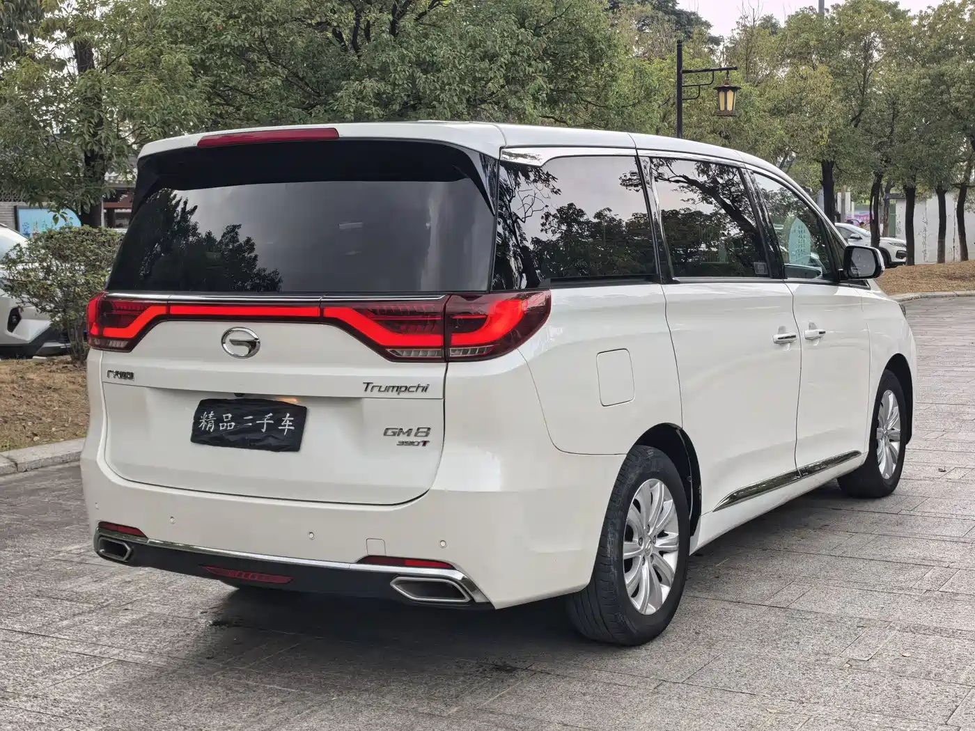 GAC Trumpchi Trumpchi M8 2020 390T Premium фото 7