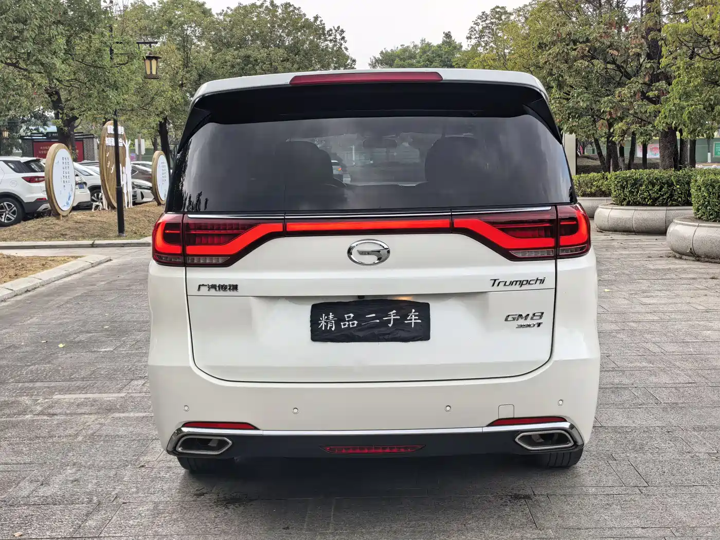 GAC Trumpchi Trumpchi M8 2020 390T Premium фото 6