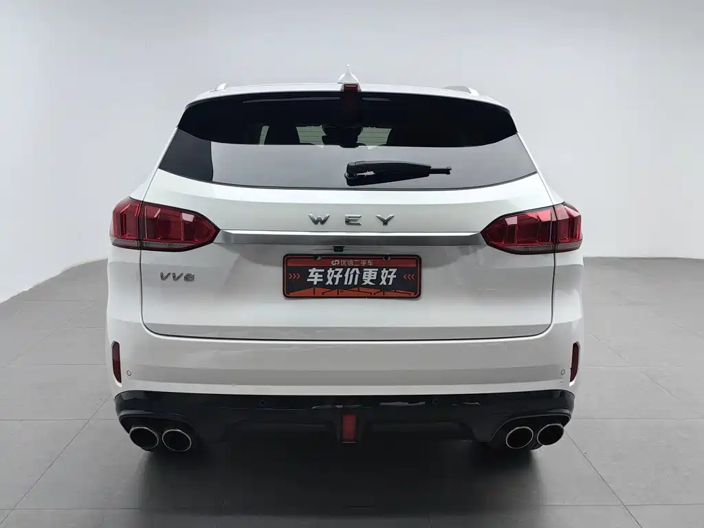 Фото 4 - WEY VV6
