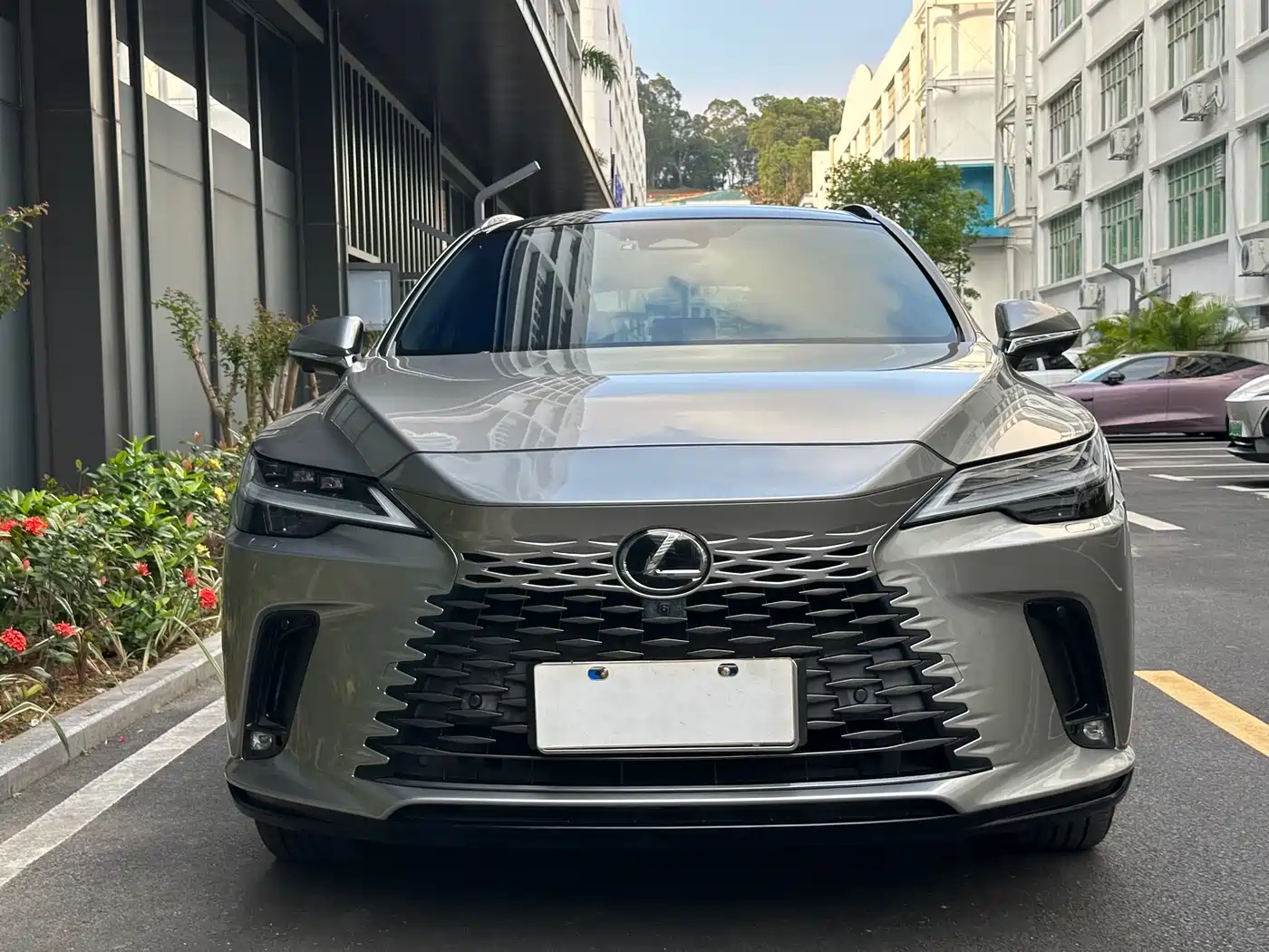LEXUS RX