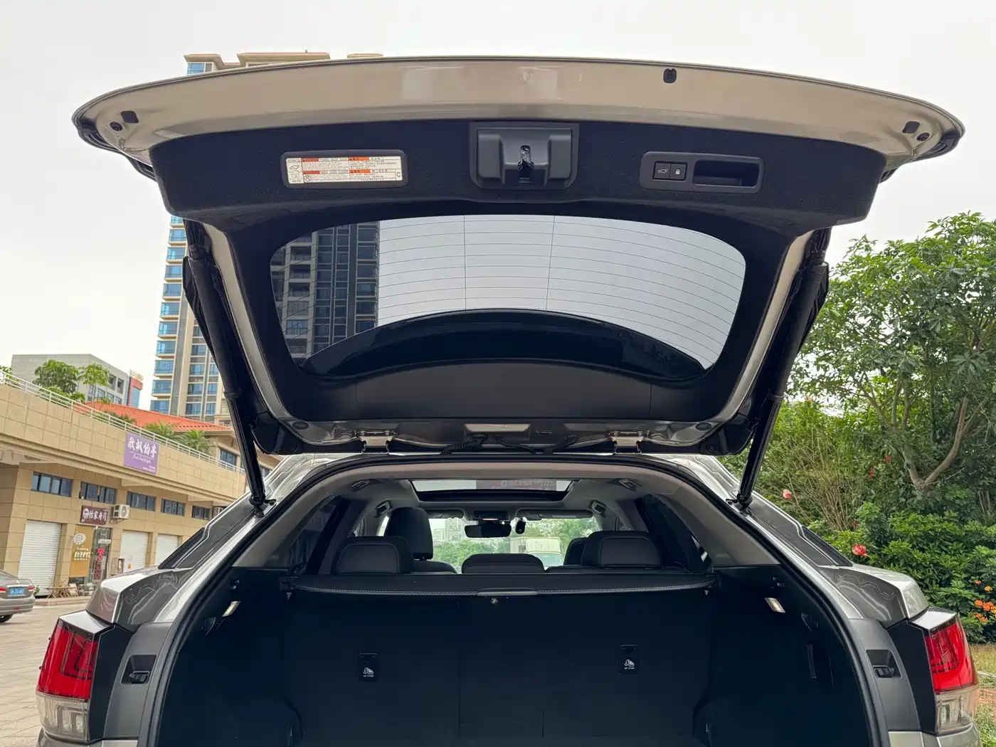 Lexus RX 2020 300 AWD Elegance Edition China V фото 25