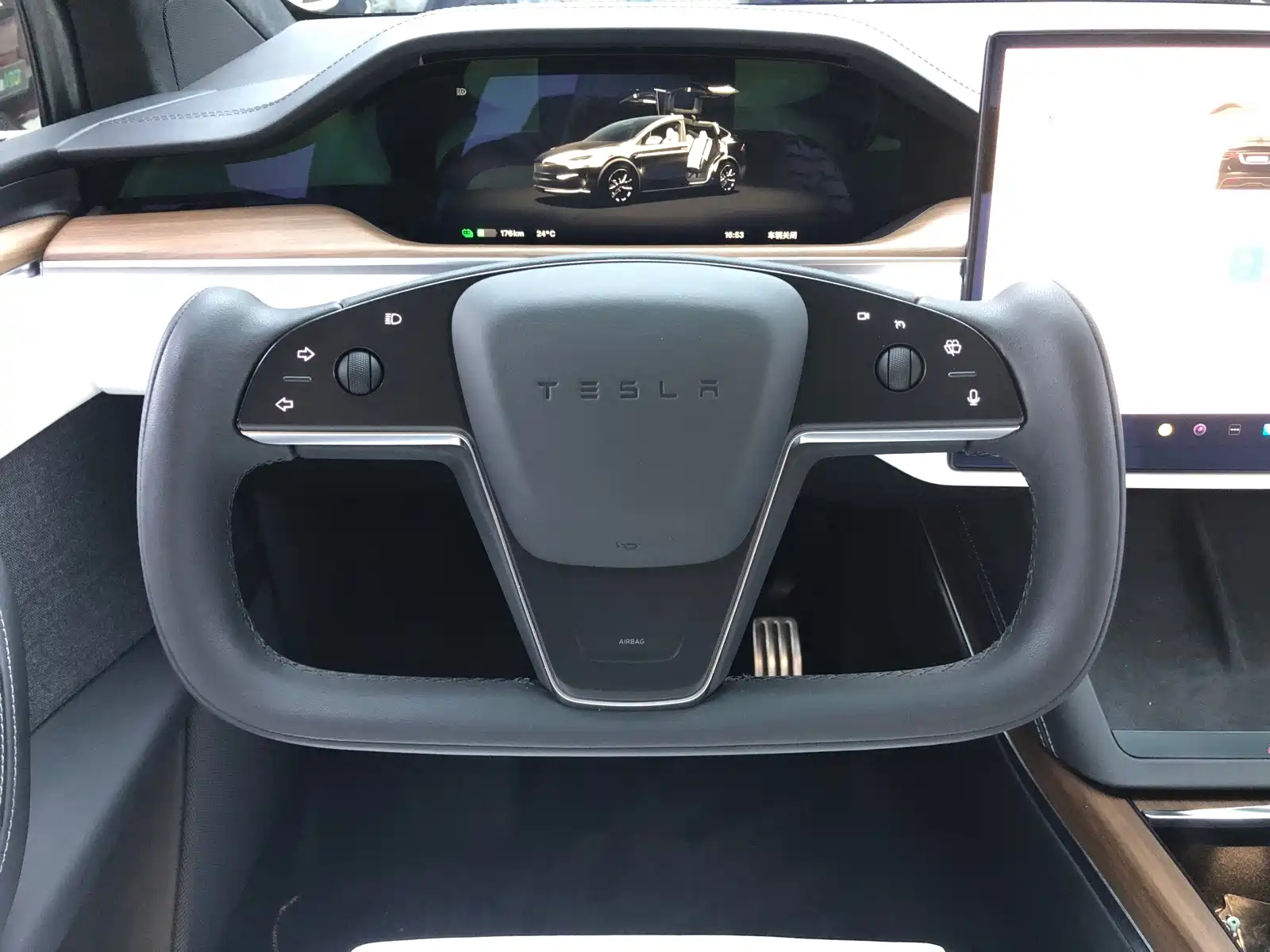 Фото 17 - Tesla Model X