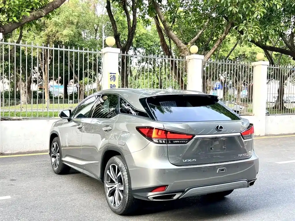 Lexus RX 2020 Facelift 300 AWD Elegance Edition фото 9