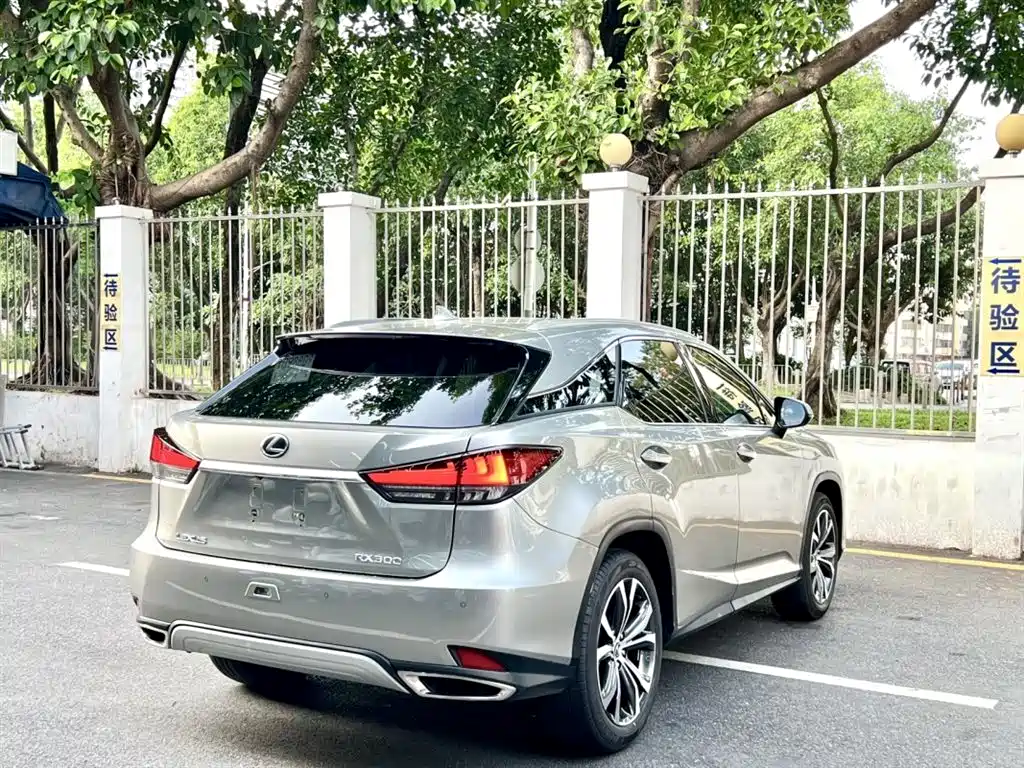 Lexus RX 2020 Facelift 300 AWD Elegance Edition фото 7