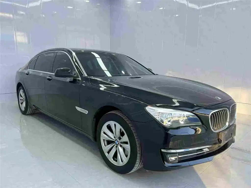 BMW 7 Series 2011 730Li Elegance фото 6