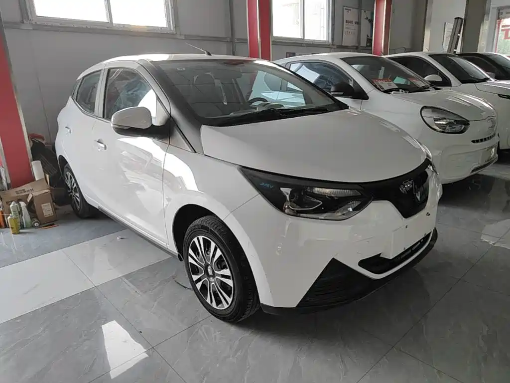 JMCG New Energy Little Kirin 2025 2024 201km Comfort Model