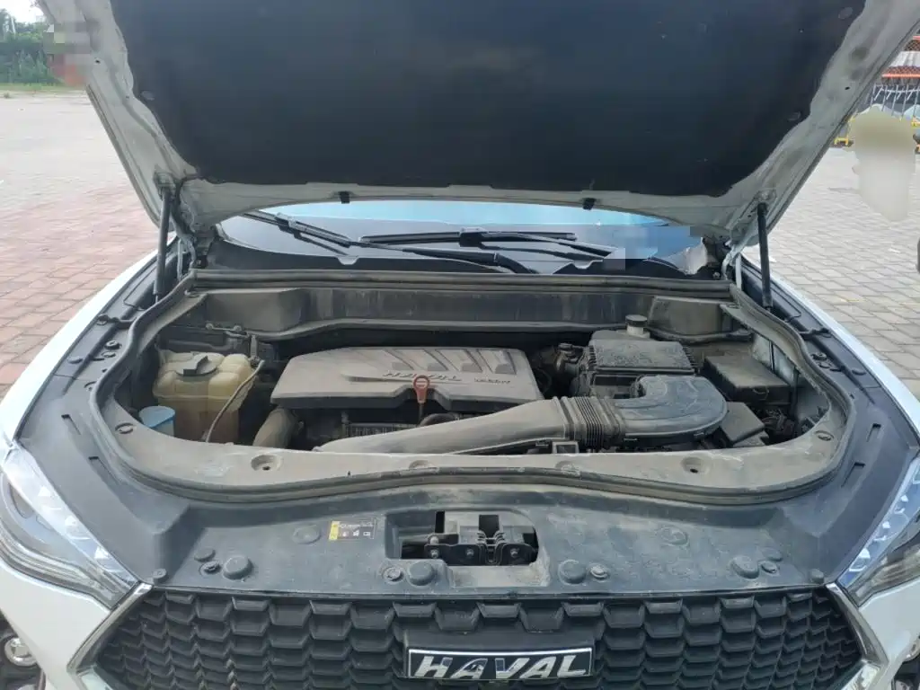 Haval F7 2019 2019 1.5T 2WD i-Trend China VI