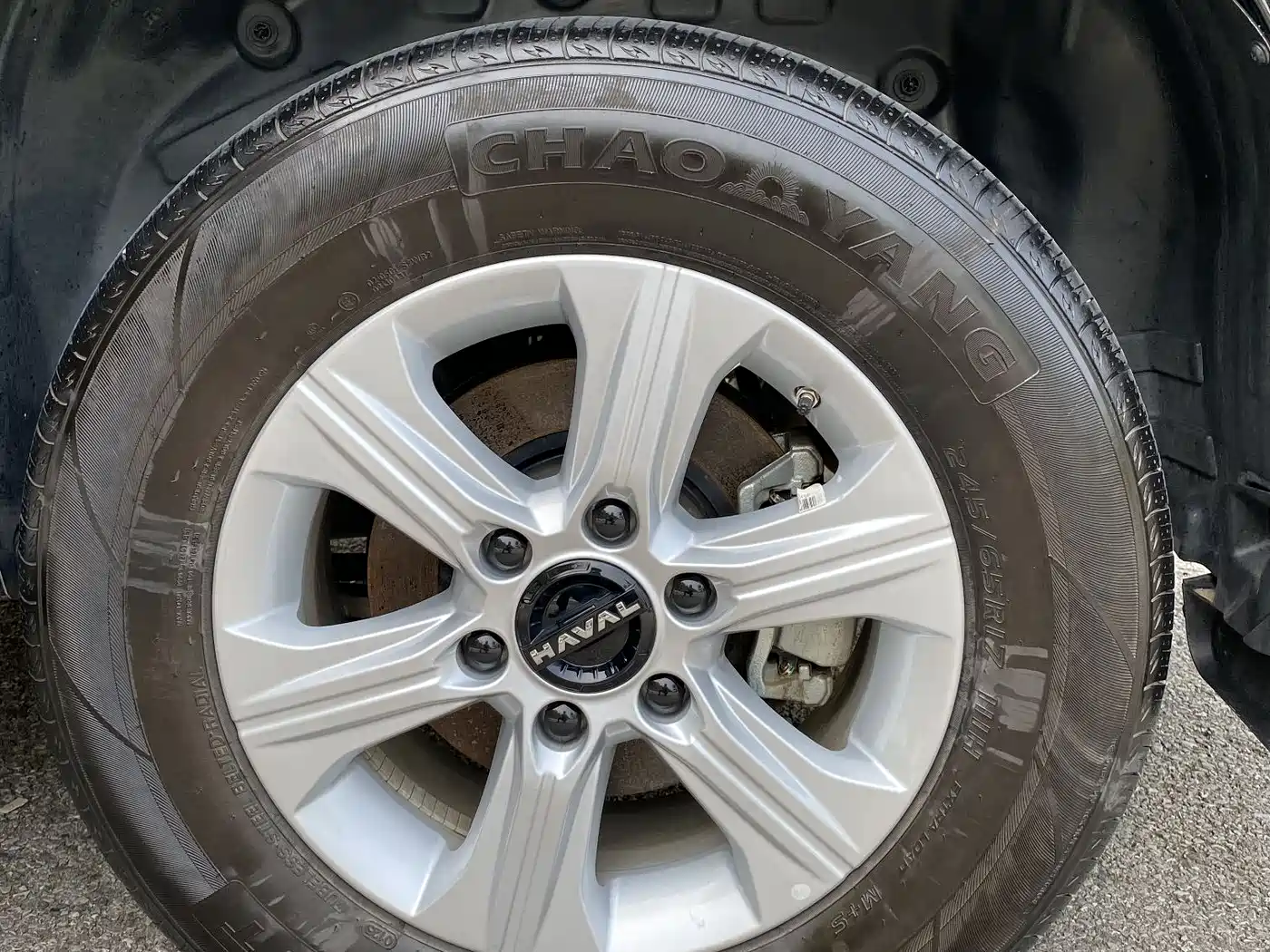 Haval H5 2025 2.0T Auto 4WD Elite Edition (Diesel) фото 14
