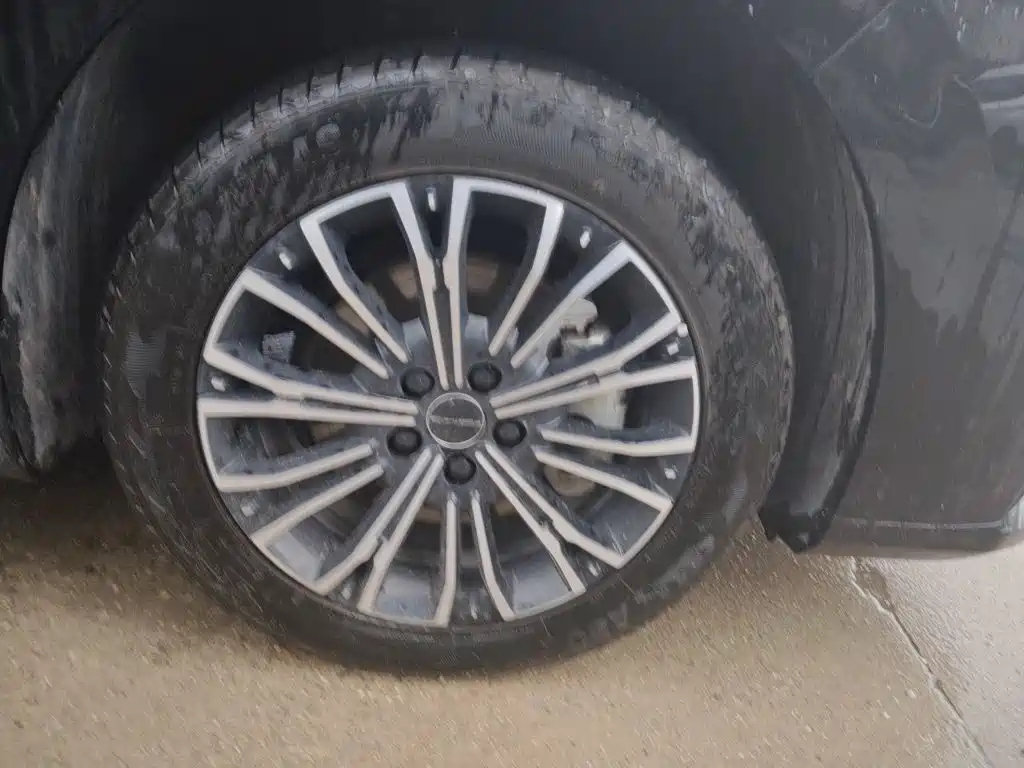 Dongfeng Fengxing Starlight V9 2025 2026 Beyond Joy Series 200km Luxury