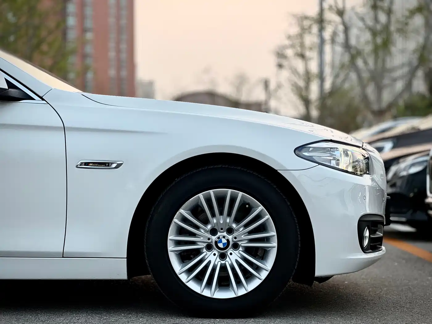BMW 5 Series 2014 525Li Leading фото 38