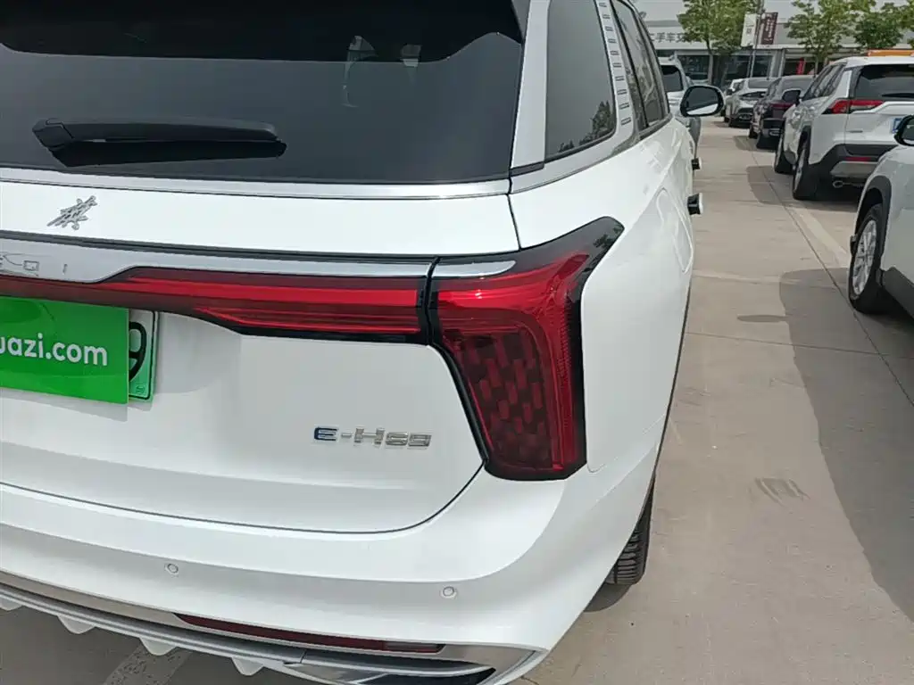 Hongqi E-HS9 2022 690km Qi Xiang Edition (6-seater) фото 8