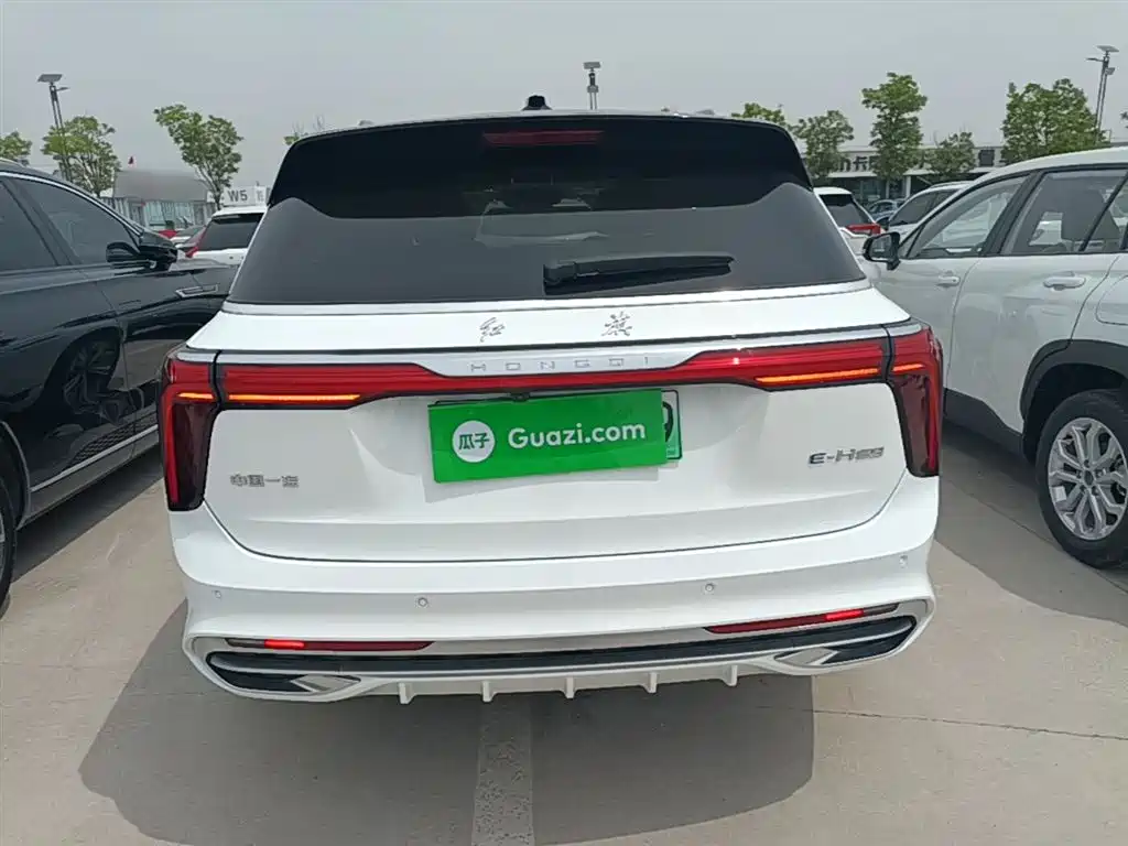 Hongqi E-HS9 2022 690km Qi Xiang Edition (6-seater) фото 6
