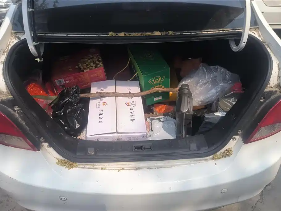 JIANGQI GROUP JAC IEV