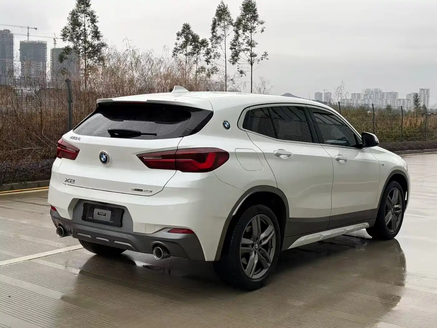 BMW X2