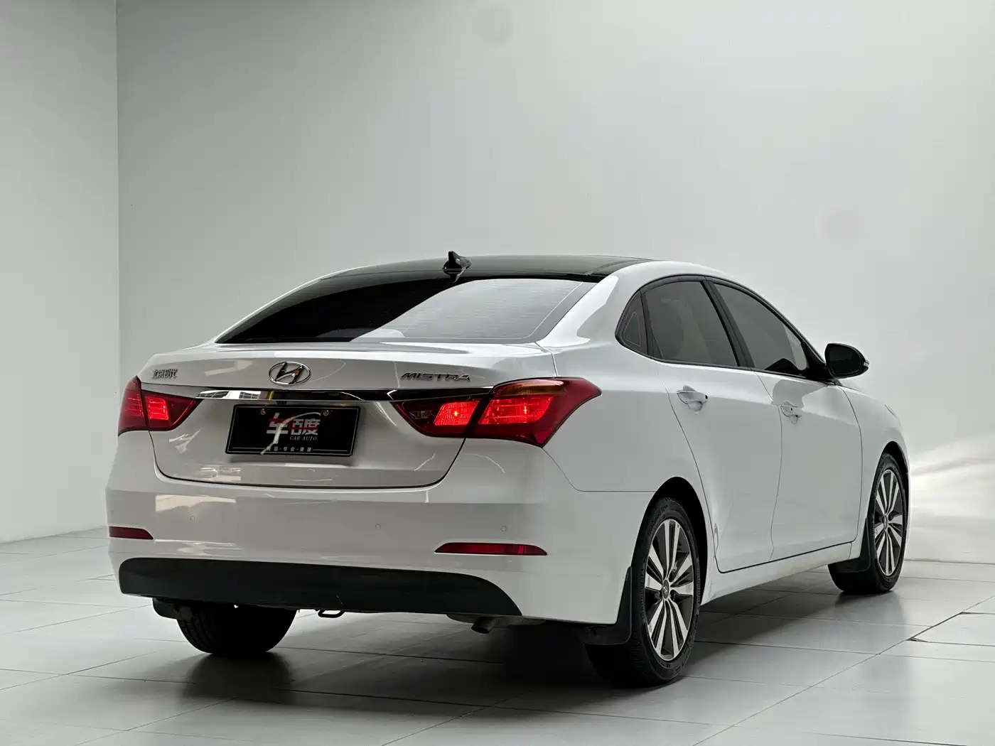 HYUNDAI NAME PICTURE