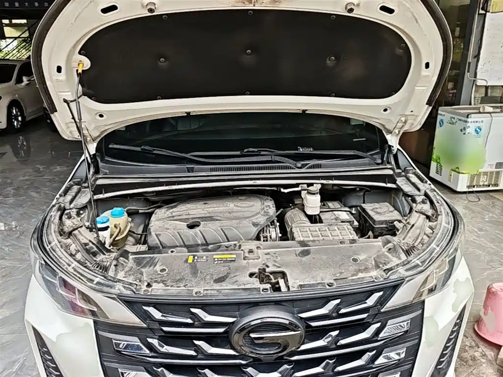 GAC Trumpchi Trumpchi M6 2021 PRO 270T DCT Elite фото 20