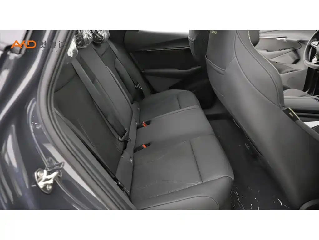 VOLKSWAGEN WITH THE CROWD 06