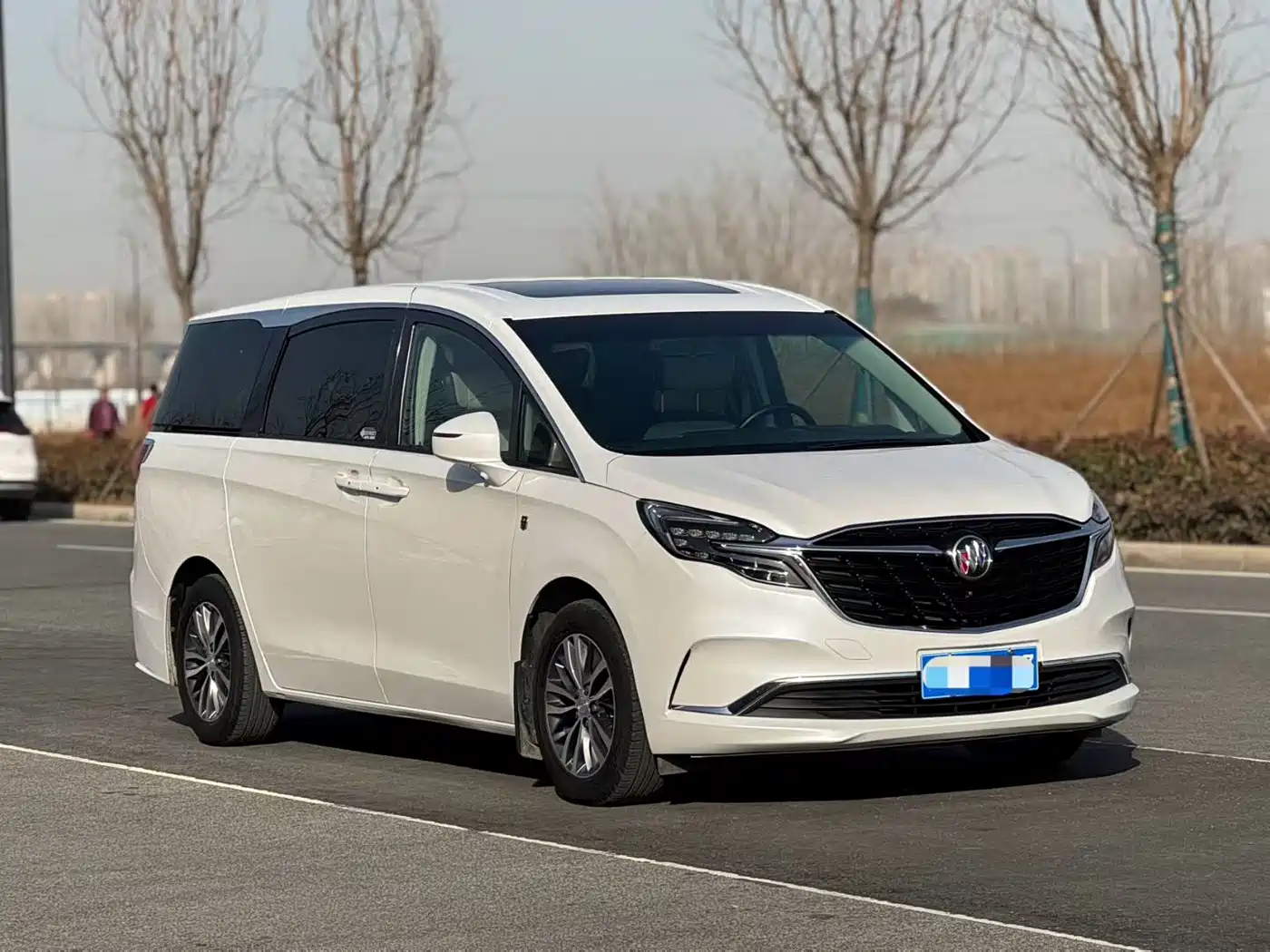 Buick GL8 2021 ES Landlord 653T Comfort фото 3
