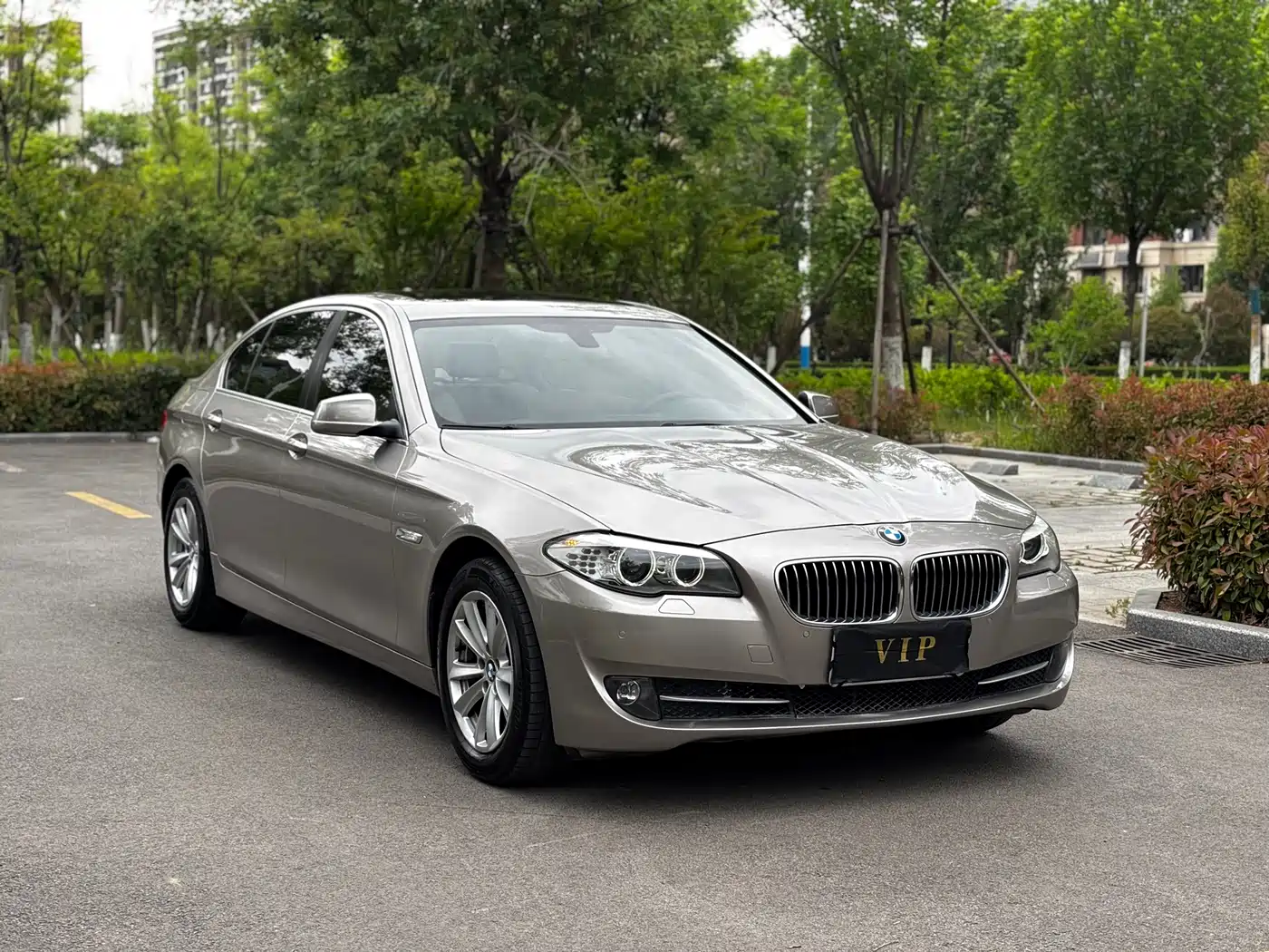 BMW 5 Series 2013 525Li Leadership фото 3