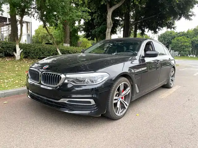 BMW 5 Series New Energy 2020 530Le Range Upgrade Luxury Package