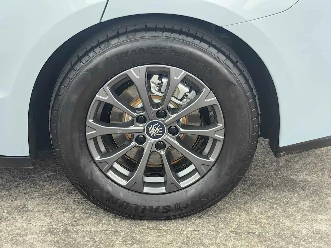 BYD Qin L 2024 DM-i 80KM Leading Edition фото 9