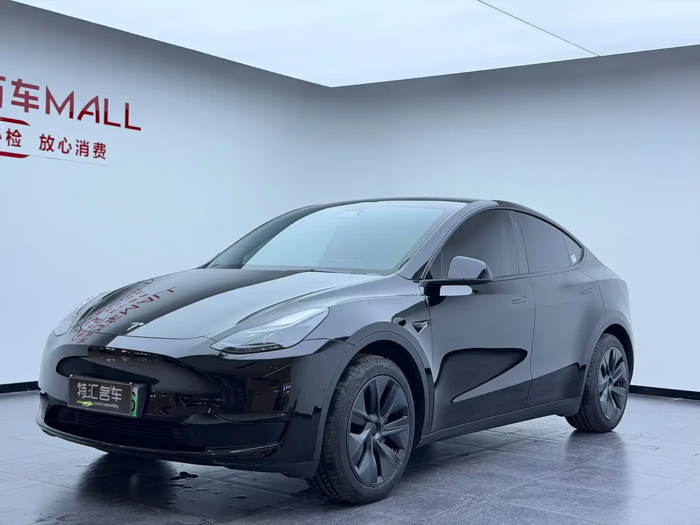 Tesla Model Y 2023 Rear-Wheel Drive Edition