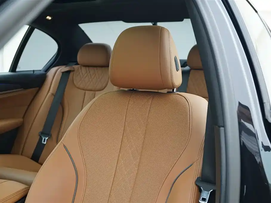 BMW 5 Series 2021 530Li xDrive M Sport Package фото 13