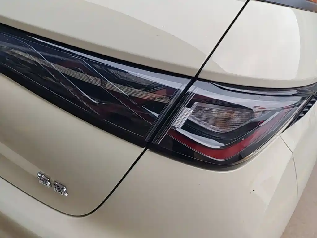 Фото 8 - BYD Dolphin