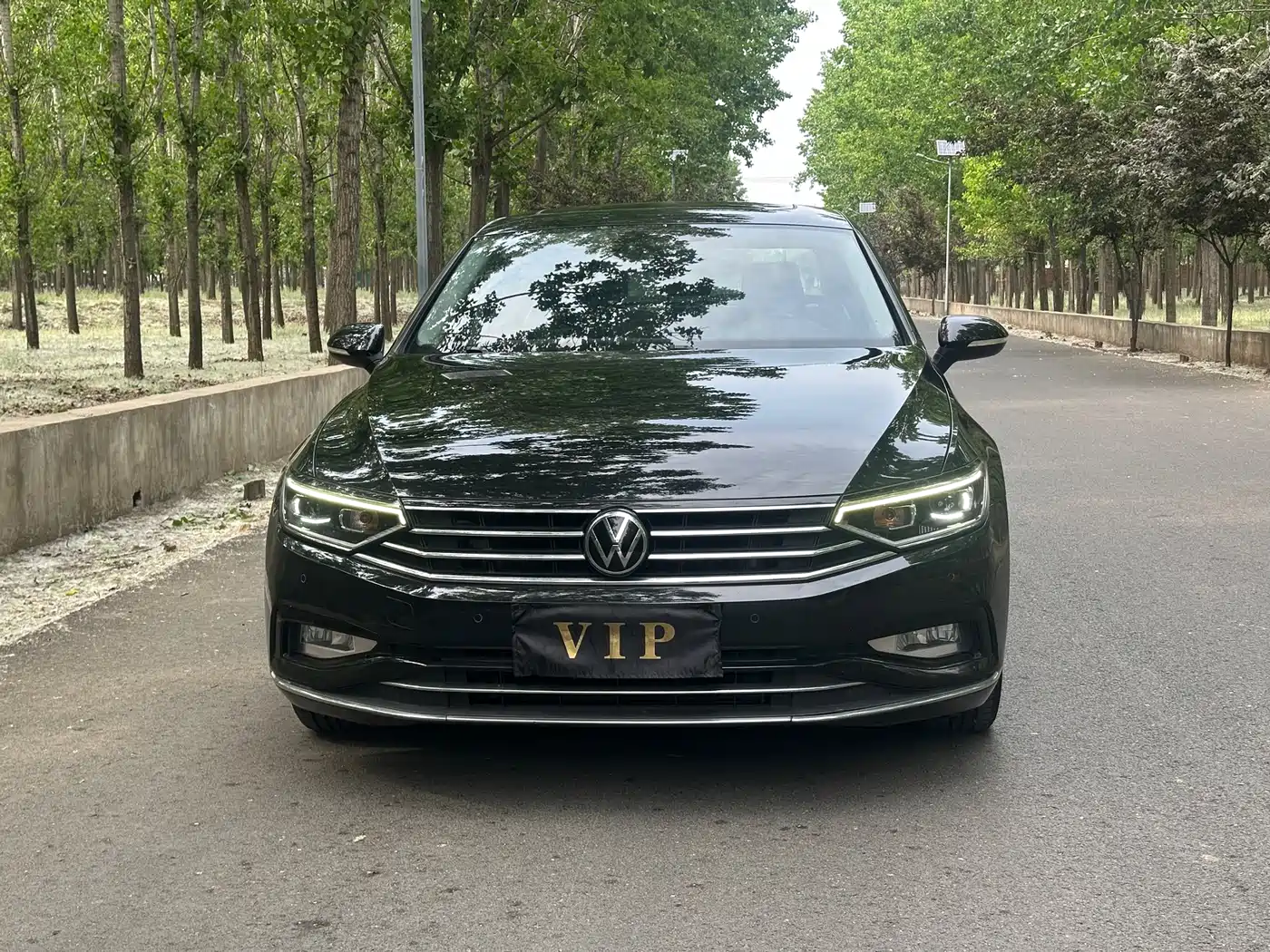 Volkswagen Magotan 2020 280TSI DSG Comfort фото 3