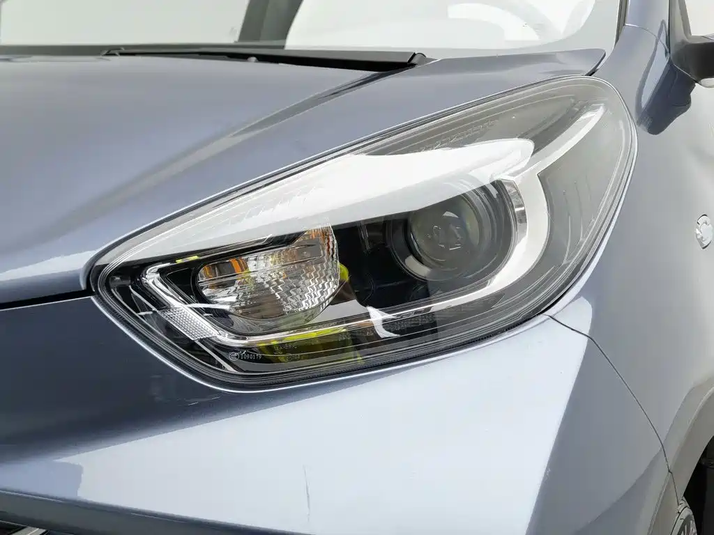 QQ New Energy Little Ant 2023 2023 251km True Love Edition LFP
