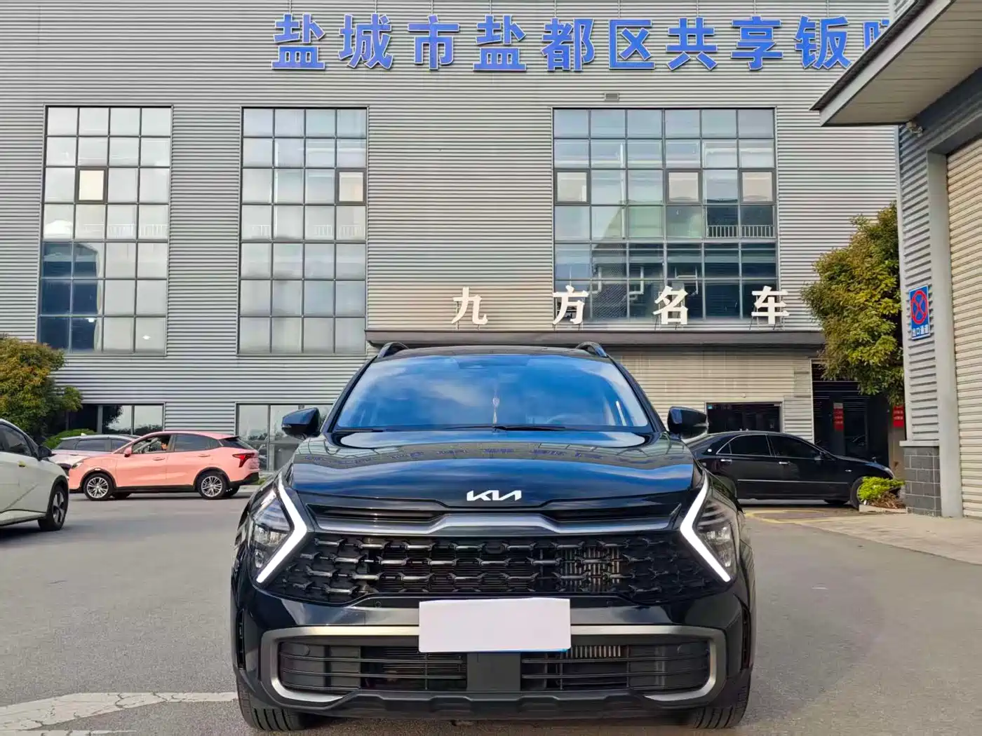 KIA LION PLATINUM EXPANDS THE WORLD