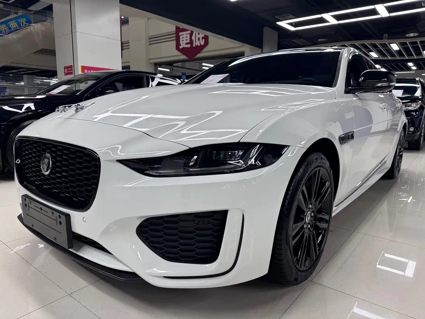 Jaguar XEL 2025 2.0T 250PS R-DYNAMIC 90th Anniversary Edition