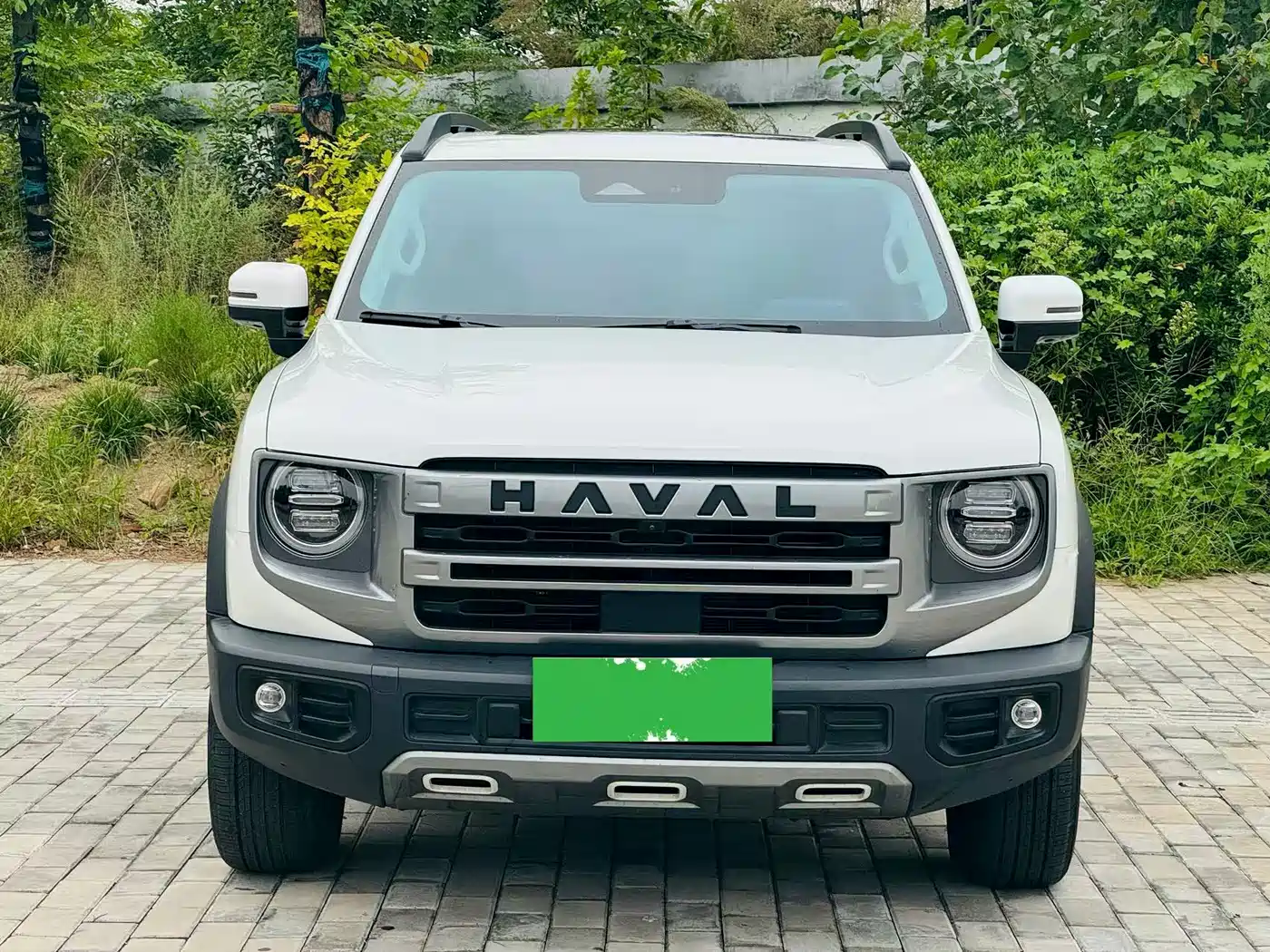 Haval Dargo 2025 2024 2.0T DCT Chinese Rural Dog Edition