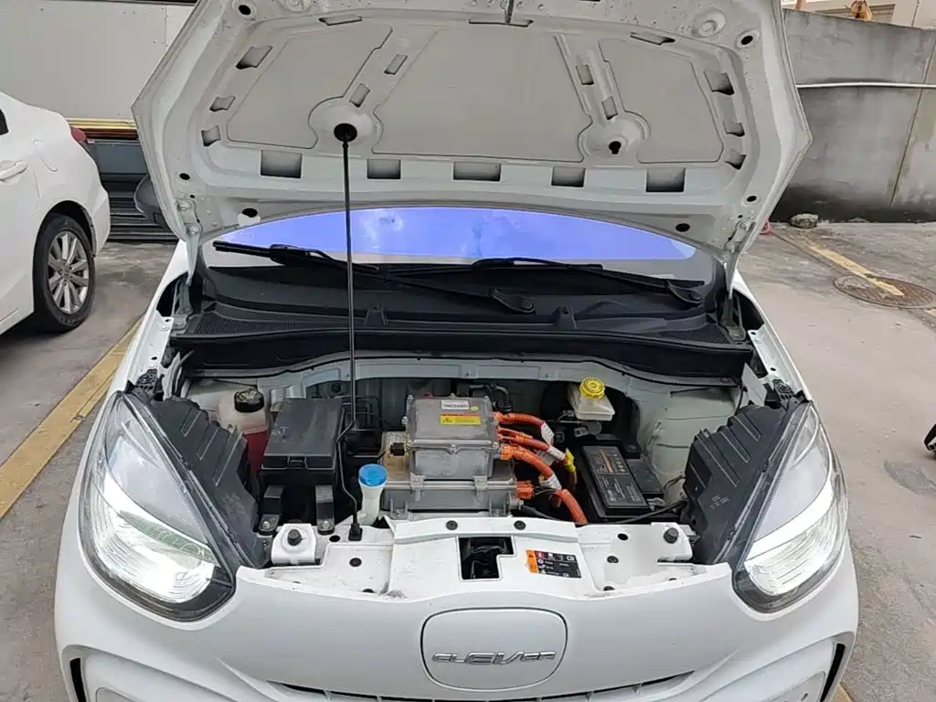 Roewe Clever 2023 2022 311km Vitality Bobo Edition