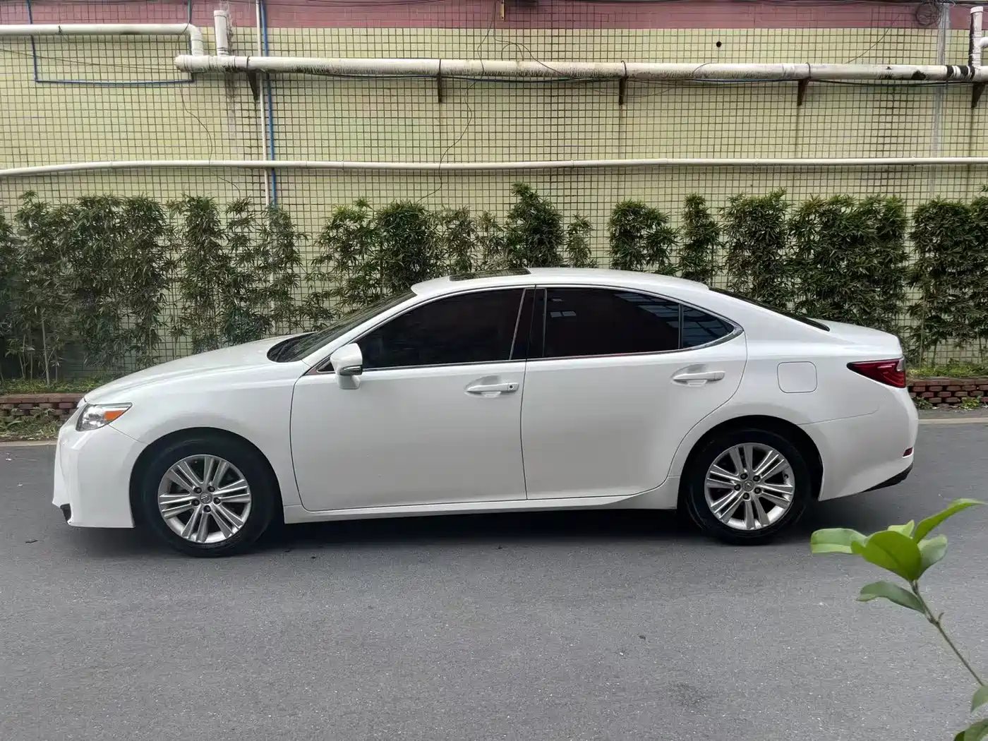 Lexus ES 2014 250 Elite Edition фото 3