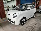 Фото 2 - Changan Lumin