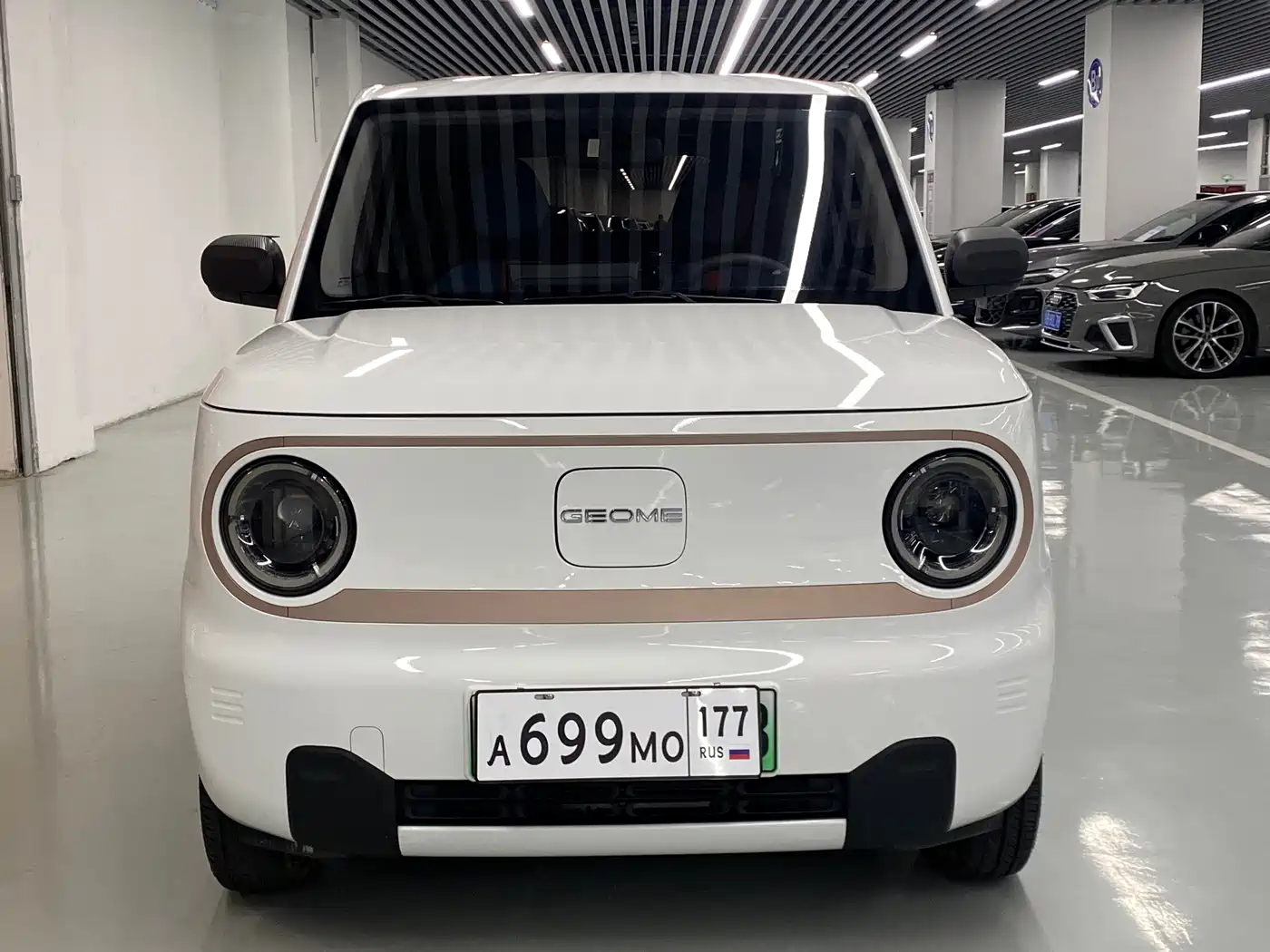 Фото 2 - Geely Galaxy Panda