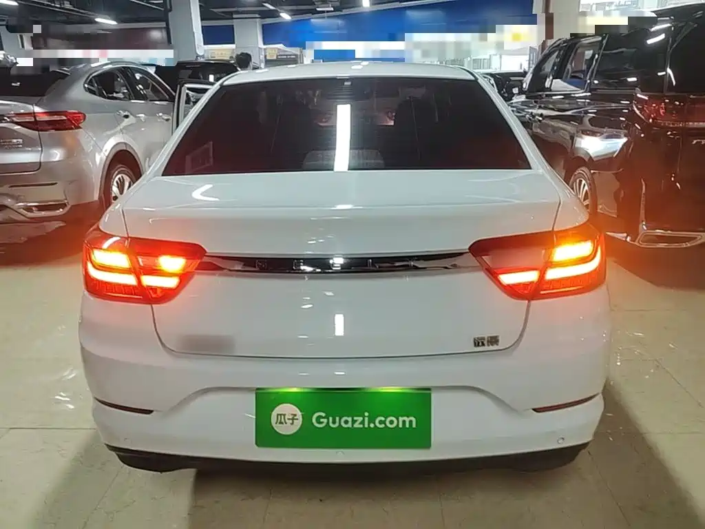 Фото 6 - Geely Vision