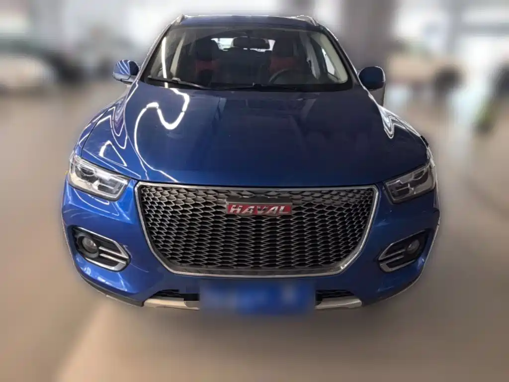 صورة 5 - Haval H2s