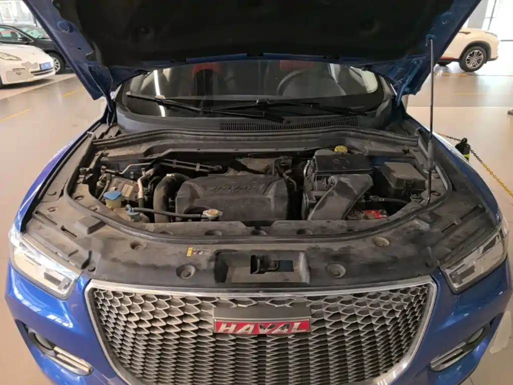 صورة 25 - Haval H2s